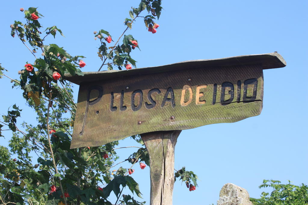 Llosa De Ibio Εξωτερικό φωτογραφία